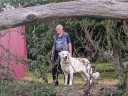 Kuvasz_Familientreff_031025_060.jpg