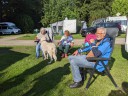 Kuvasz_Familientreff_031025_083.jpg