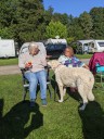 Kuvasz_Familientreff_031025_084.jpg