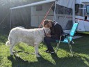 Kuvasz_Familientreff_031025_088.jpg
