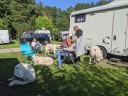 Kuvasz_Familientreff_031025_094.jpg