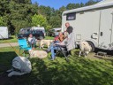 Kuvasz_Familientreff_031025_095.jpg