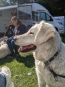 Kuvasz_Familientreff_031025_096.jpg