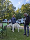 Kuvasz_Familientreff_031025_097.jpg