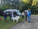 Kuvasz_Familientreff_031025_105.jpg