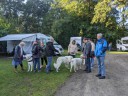 Kuvasz_Familientreff_031025_106.jpg