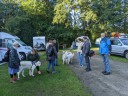 Kuvasz_Familientreff_031025_109.jpg