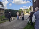 Kuvasz_Familientreff_031025_139.jpg