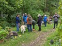 Kuvasz_Familientreff_031025_159.jpg