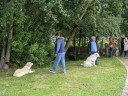 Kuvasz_Familientreff_031025_204.jpg