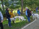 Kuvasz_Familientreff_031025_230.jpg