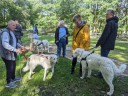Kuvasz_Familientreff_031025_232.jpg