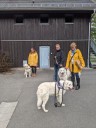 Kuvasz_Familientreff_031025_241.jpg