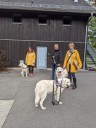 Kuvasz_Familientreff_031025_242.jpg