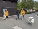 Kuvasz_Familientreff_031025_243.jpg