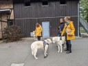 Kuvasz_Familientreff_031025_244.jpg