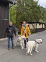 Kuvasz_Familientreff_031025_250.jpg