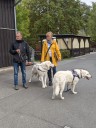 Kuvasz_Familientreff_031025_251.jpg